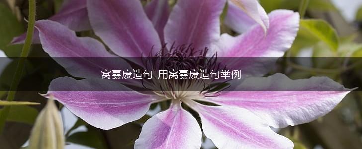 窝囊废造句_用窝囊废造句举例,第1张 窝囊废造句_用窝囊废造句举例,第1张