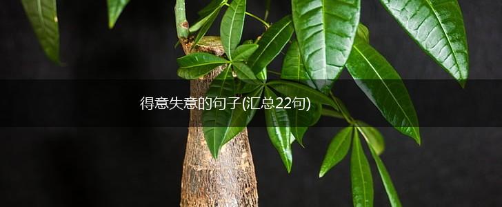 得意失意的句子(汇总22句),第1张