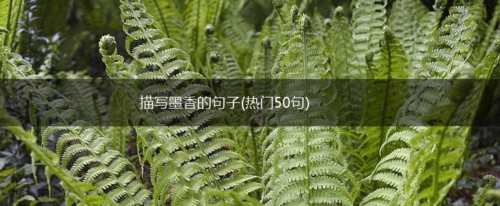 描写墨香的句子(热门50句),第1张