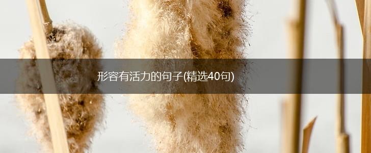 形容有活力的句子(精选40句),第1张