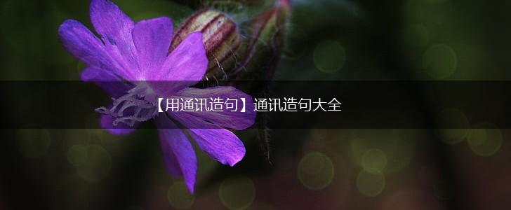 【用通讯造句】通讯造句大全,第1张 【用通讯造句】通讯造句大全,第1张