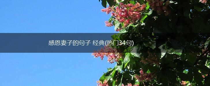 感恩妻子的句子 经典(热门34句),第1张