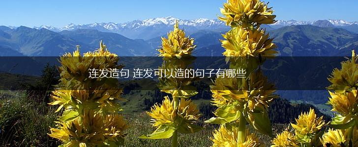 连发造句 连发可以造的句子有哪些,第1张 连发造句 连发可以造的句子有哪些,第1张