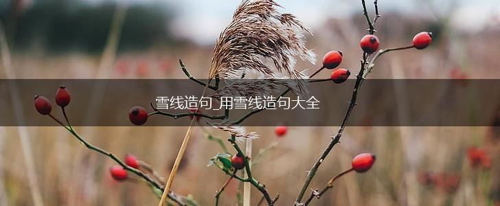 雪线造句_用雪线造句大全,第1张 雪线造句_用雪线造句大全,第1张