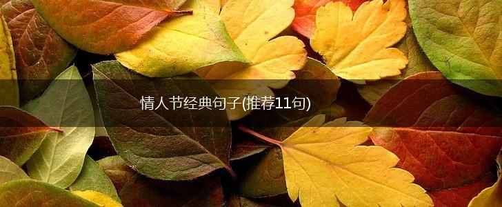 情人节经典句子(推荐11句),第1张