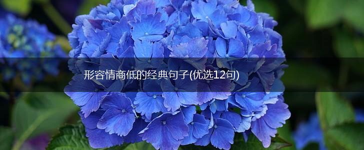形容情商低的经典句子(优选12句),第1张