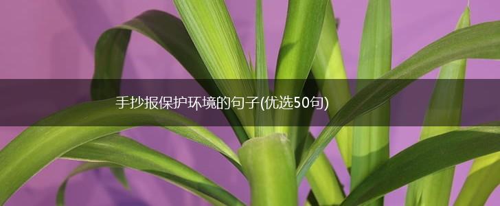 手抄报保护环境的句子(优选50句),第1张