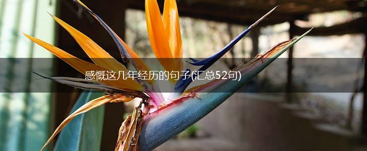 感慨这几年经历的句子(汇总52句),第1张