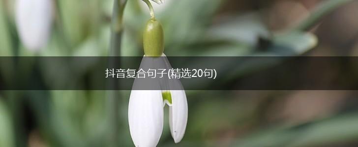 抖音复合句子(精选20句),第1张