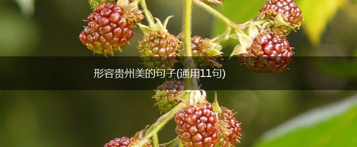 形容贵州美的句子(通用11句),第1张