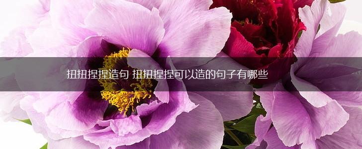 扭扭捏捏造句 扭扭捏捏可以造的句子有哪些,第1张 扭扭捏捏造句 扭扭捏捏可以造的句子有哪些,第1张