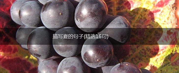 描写夏的句子(精选16句),第1张