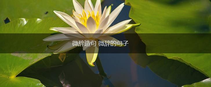 微辞造句 微辞的句子,第1张 微辞造句 微辞的句子,第1张