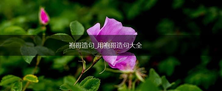 袍哥造句_用袍哥造句大全,第1张 袍哥造句_用袍哥造句大全,第1张