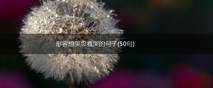 形容想哭忍着哭的句子(50句),第1张