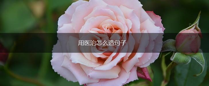 用医治怎么造句子,第1张 用医治怎么造句子,第1张
