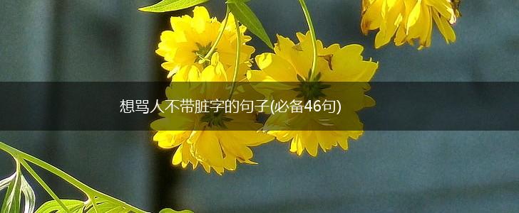 想骂人不带脏字的句子(必备46句),第1张