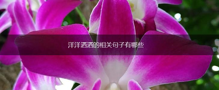 洋洋洒洒的相关句子有哪些,第1张 洋洋洒洒的相关句子有哪些,第1张