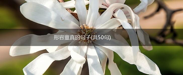 形容童真的句子(共50句),第1张
