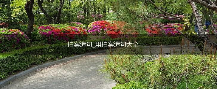 拍案造句_用拍案造句大全,第1张 拍案造句_用拍案造句大全,第1张