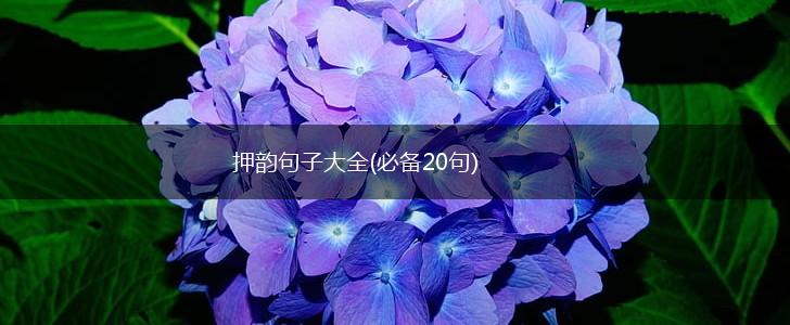押韵句子大全(必备20句),第1张