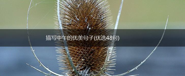 描写中午的优美句子(优选48句),第1张