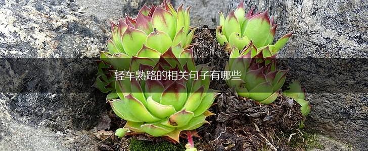 轻车熟路的相关句子有哪些,第1张