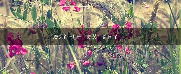 夏装造句_用“夏装”造句子,第1张 夏装造句_用“夏装”造句子,第1张