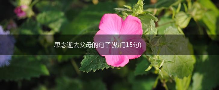 思念逝去父母的句子(热门15句),第1张