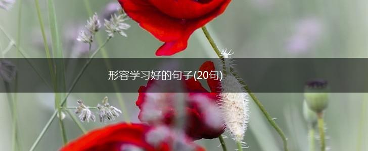 形容学习好的句子(20句),第1张