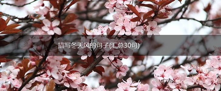 描写冬天风的句子(汇总30句),第1张