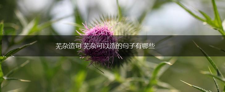 芜杂造句 芜杂可以造的句子有哪些,第1张 芜杂造句 芜杂可以造的句子有哪些,第1张