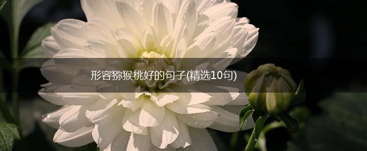 形容猕猴桃好的句子(精选10句),第1张