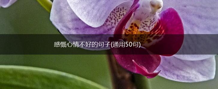感慨心情不好的句子(通用50句),第1张