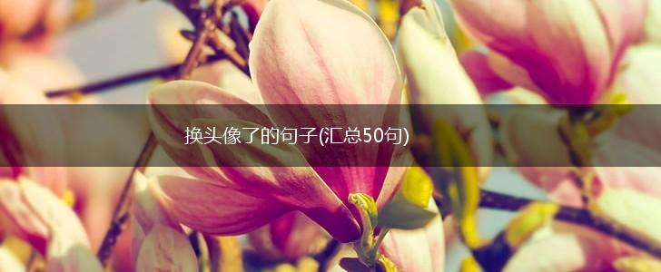 换头像了的句子(汇总50句),第1张