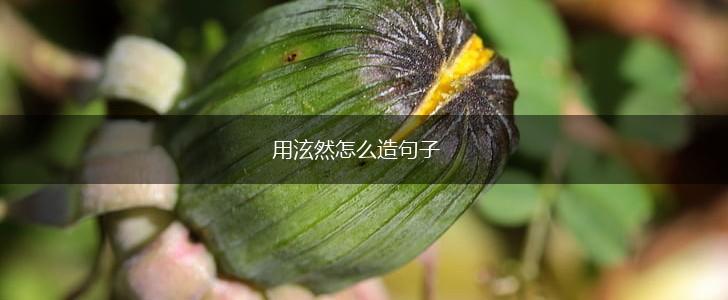 用泫然怎么造句子,第1张 用泫然怎么造句子,第1张