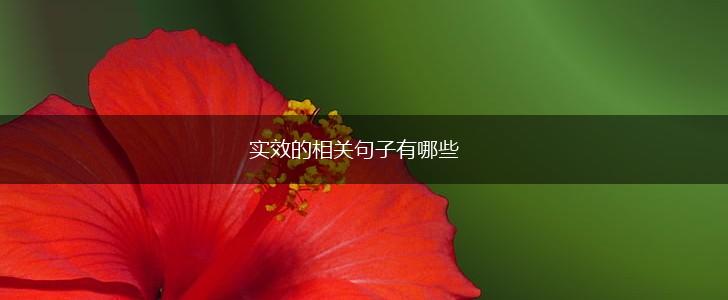 实效的相关句子有哪些,第1张