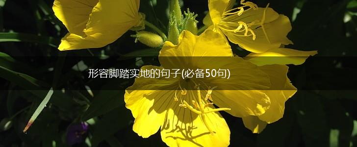 形容脚踏实地的句子(必备50句),第1张