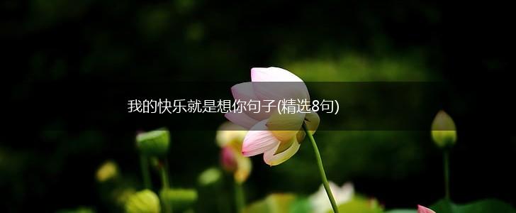 我的快乐就是想你句子(精选8句),第1张