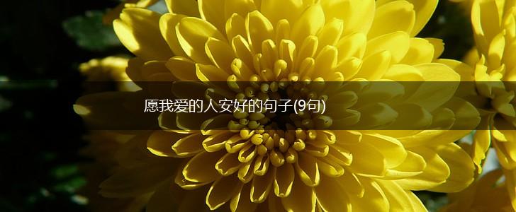 愿我爱的人安好的句子(9句),第1张