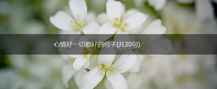 心情好一切都好的句子(共30句),第1张