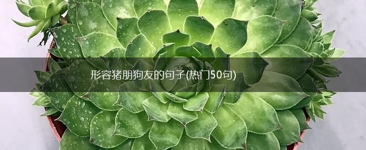 形容猪朋狗友的句子(热门50句),第1张