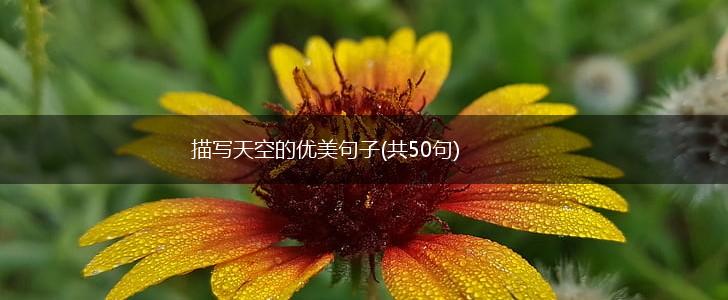 描写天空的优美句子(共50句),第1张