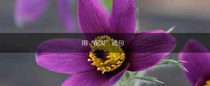 用“配发”造句,第1张 用“配发”造句,第1张