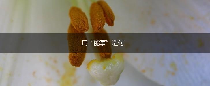 用“能事”造句,第1张