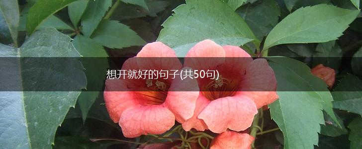 想开就好的句子(共50句),第1张