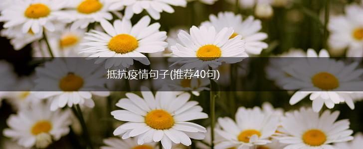 抵抗疫情句子(推荐40句),第1张