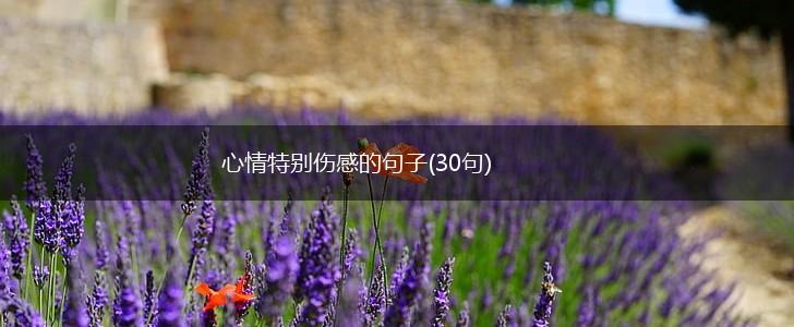 心情特别伤感的句子(30句),第1张