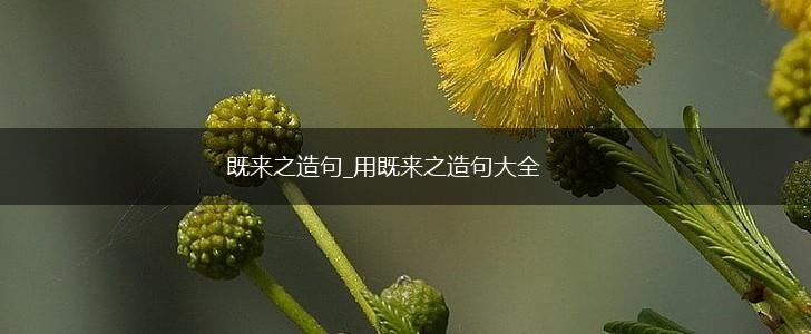 既来之造句_用既来之造句大全,第1张 既来之造句_用既来之造句大全,第1张