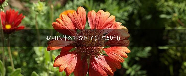 我可以什么补充句子(汇总50句),第1张